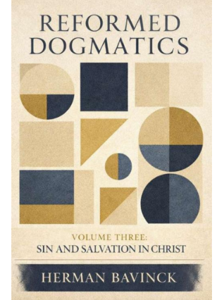 Sampul buku Reformed Dogmatics, Vol. 3: Sin And Salvation Christ