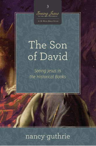 Sampul buku The Son of David: Seeing Jesus in the Historical Books