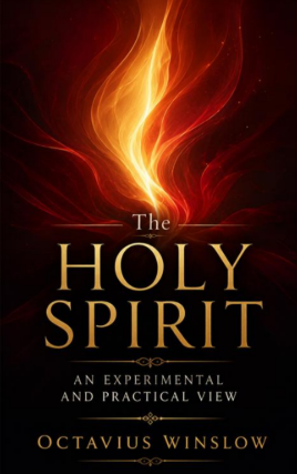 Sampul buku The Holy Spirit: An Experimental And Practical View
