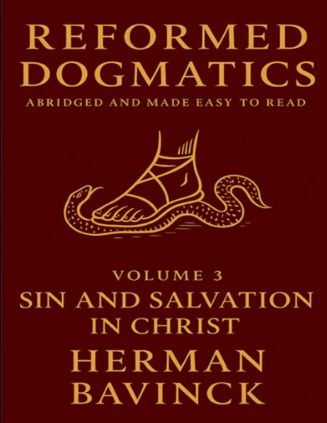 Sampul buku Reformed Dogmatics: Sin and Salvation in Christ, Volume 3